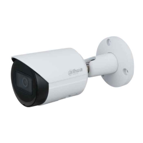 Camera IP Dahua DH-IPC-HFW2431SP-S-S2 | Chức năng phát hiện thông minh