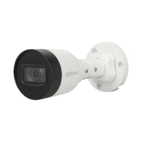 Camera IP Dahua DS2230SFIP-S2 2MP | Chống Ngược Sáng DWDR, Quan Sát 30m