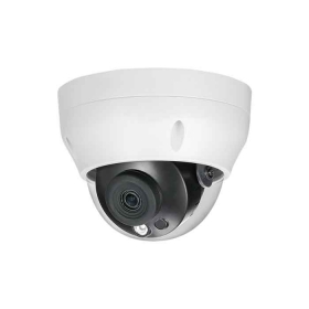 Camera IP Dome Dahua DS2230RDIP-S2 2MP | Chống Ngược Sáng DWDR , Quan Sát 30m